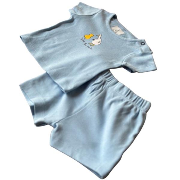 Playset - Blue Ducks - Image 4