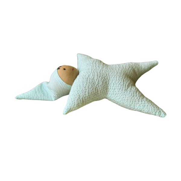 Star Toy - Astro (Green) - Image 2