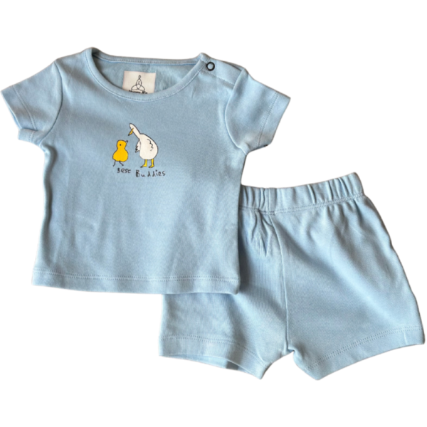 Playset - Blue Ducks