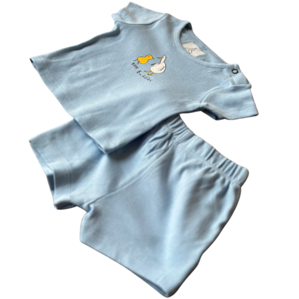 Summer Style - Blue Koala - Image 4